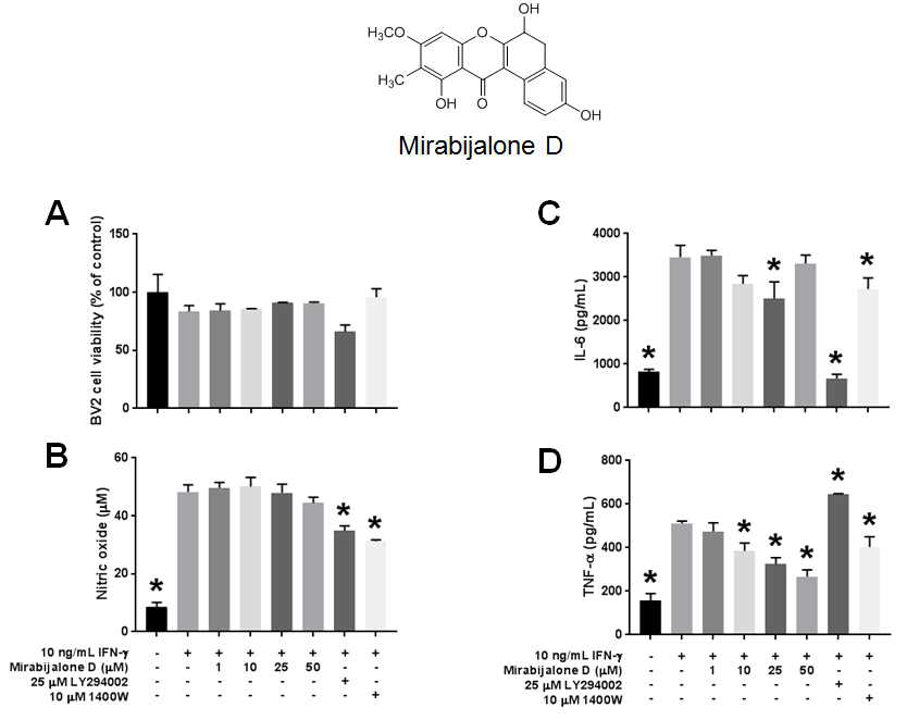 인터페론-감마로 유도된 BV2 세포 염증반응에 대한 mirabijalone D의 효과. A) 세포생존율. B) 세포배양액 내 nitric oxide (NO) 정량. C) 세포배양액 내 IL-6 정량. D) 세포배양액 내 TNF-α 정량. p < 0.05 compared to 10 ng/mL IFN-γ only