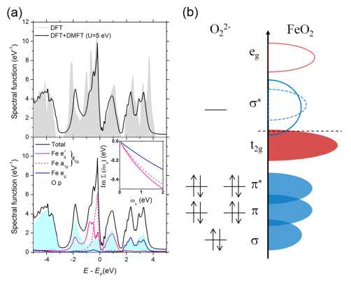 (a) DFT와 DFT+DMFT (U=5 eV, J=0.8 eV, T= 200K)으로 얻어낸 FeO2의 전자구조. (b) O22- 의 분자 오비탈과 FeO2의 개략적인 전자 상태 밀도