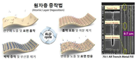 ALD 공정의 모식도와 우수한 단차피복성