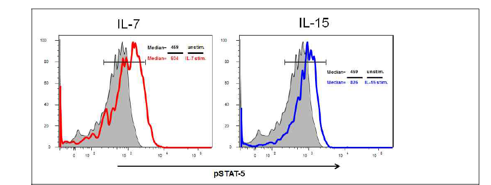 간 상주 기억 T 세포의 IL-7, IL-15에 반응