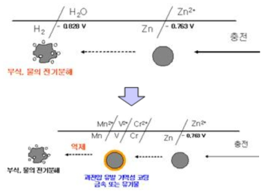 수소과전압 증가물질 코팅을 통한 전해액 손실 억제 개념