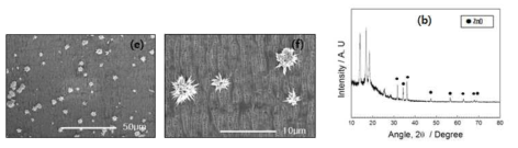 시험 후 분리막의 SEM사진 (e), 이의 확대사진 (f), XRD 분석결과 (b)
