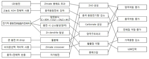 아연공기이차전지의 FMEA (Failure Mode & Effect Analysis)