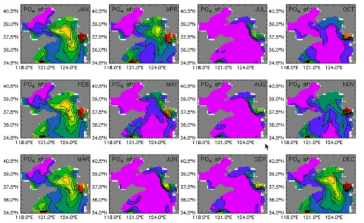 Climatological mean field of the past 30 years(1981～2010) in the Yellow Sea - monthly mean surface phosphate(mmol P/m3)