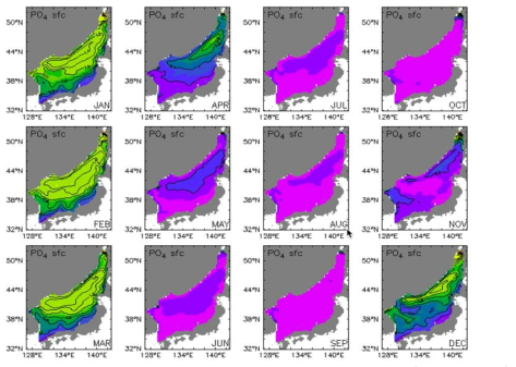 Climatological mean field of the past 30 years(1981～2010) in the East Sea - monthly mean surface phosphate(mmol P/m3)