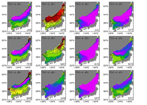 Climatological mean field of the past 30 years(1981～2010) in the East Sea - monthly mean surface chlorophyll_a(mg Chl/m3)