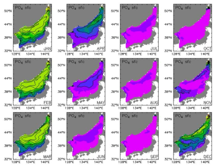 Monthly mean surface phosphate of 2050s(2051∼2060년) in the East Sea