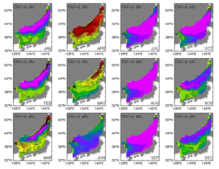 Monthly mean surface chlorophyll_a of 2050s(2051∼2060년) in the East Sea