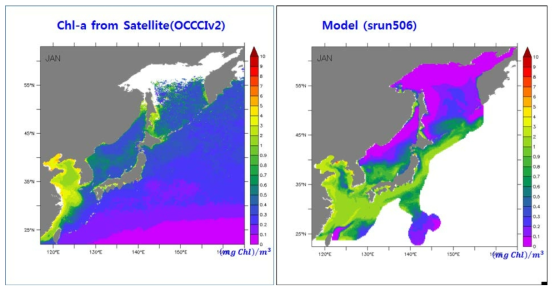 Chlorophyll_a concentration from the OCCCI-v2 satellite data(left) and that from the surface model result(right) (ex.: mean climaatology in January)