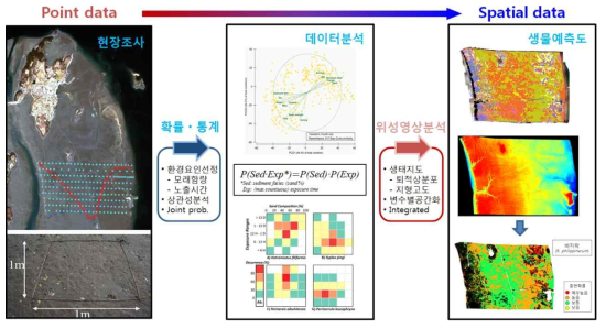 저서생물분포 예측도 제작방법 개념도