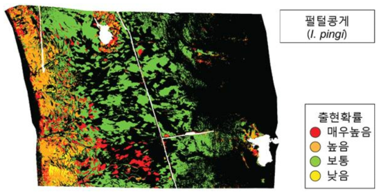 황도갯벌 펄털콩게(I . pingi) 세분류 저서생물분포 예측도