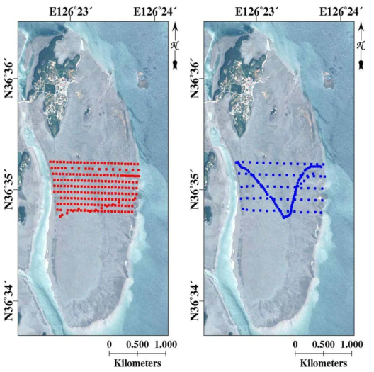 황도 갯벌의 관측 정점(좌: 퇴적물 채취 정점, 우: RTK-GPS 측량 정점)