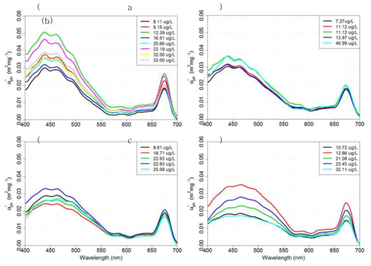 (a) Cochlodinium polykrikoides, (b) Akashiwo sanguinea, (c) Alexandrium tamarense, (d) Scrippsiella trochoidea의 비흡광 계수(m2mgl-1) 스펙트럼