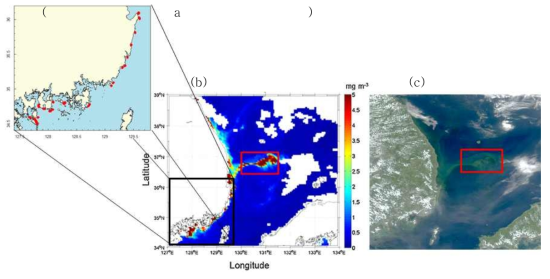 (a) 국립수산과학원 “한국연안의 적조 발생 상황”의 2007년 8월 17일자 적조 속보, (b) 같은 날의 MODIS Chl 자료(Kim et al., 2016), (c) MODIS true color image