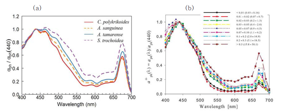 (a) 적조 배양종의 흡광스펙트럼 분포 (b) 일반적인 자연 해수 속 식물플랑크톤의 흡광스펙트럼 분포(IOCCG, 2006)
