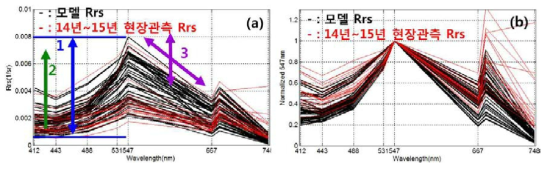 (a) Hydrolight simulation에서 계산된 C. polykrikoides 반사도 스펙트럼과 2014년과 2015년 적조 발생해역에서 관측된 스펙트럼 비교. (b) 모델 및 현장 적조 반사도를 547 nm 파장으로 normalize한 스펙트럼