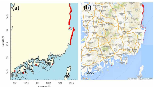 2002년 9월 11일의 Cocchlodinium 적조 분포. (a) 국립수산과학원 적조속보. (b) MODIS 영상에서 인공신경망 알고리듬으로 계산한 적조분포