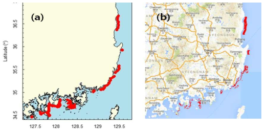 2003년 9월 30일의 Cocchlodinium 적조 분포. (a) 국립수산과학원 적조속보. (b) MODIS 영상에서 인공신경망 알고리듬으로 계산한 적조분포