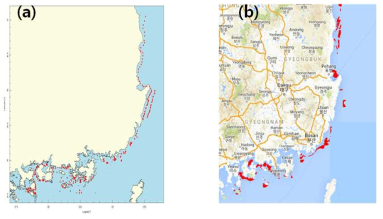 2013년 8월 14일의 Cocchlodinium 적조 분포. (a) 국립수산과학원 적조속보. (b) MODIS 영상에서 인공신경망 알고리듬으로 계산한 적조분포