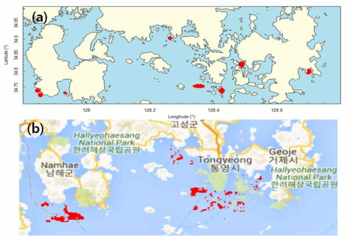 2014년 8월 22일의 Cocchlodinium 적조 분포. (a) 국립수산과학원 적조속보. (b) MODIS 영상에서 인공신경망 알고리듬으로 계산한 적조분포