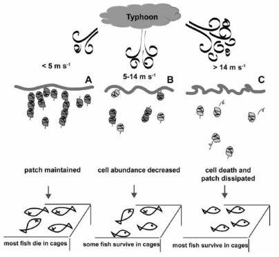 태풍의 단계별 풍속과 적조 지속-감소-소멸간의 관계(Lim et al., 2015)