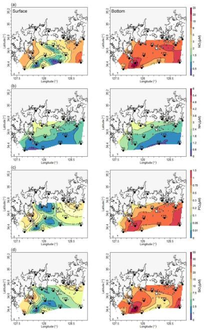 2015년 5월 표층과 저층에서의 (a) 질산염( NO3 ), (b) 암모늄 ( NH4 ), (c) 인산염( PO4 ), (d) 규산염( SiO2 ) 농도( μM )의 공간적 분포