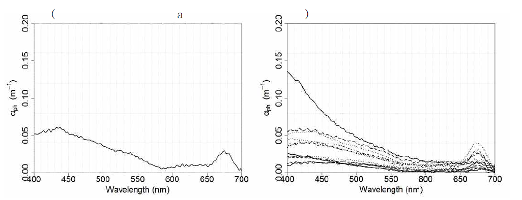 2015년 8월 (a) 적조가 발생한 R4정점 저층에서의 식물플랑크톤 흡광계수(aph,m-1)와 (b) 적조가 발생하지 않은 정점 저층에서의 식물플랑크톤 흡광계수(aph,m-1)