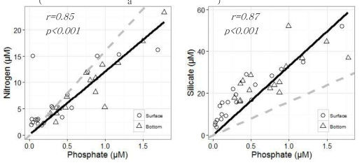 2015년 8월 (a) N:P 비(점선: Redfield ratio 16:1, 실선: 현장 관측 비 10:1)와 (b) Si:P 비(점선: Redfield ratio 16:1, 실선: 현장 관측 비 36:1)