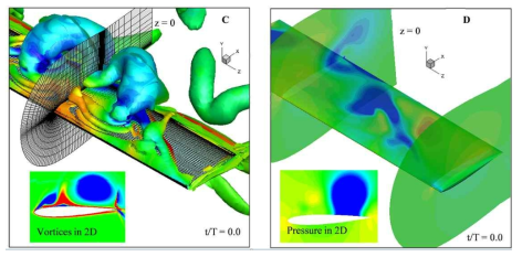 와류와 압력장의 수치해석 결과