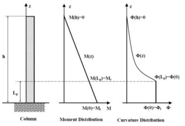 모멘트 및 곡률 분포 가정