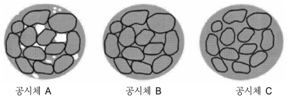 공시체 구조의 모식도