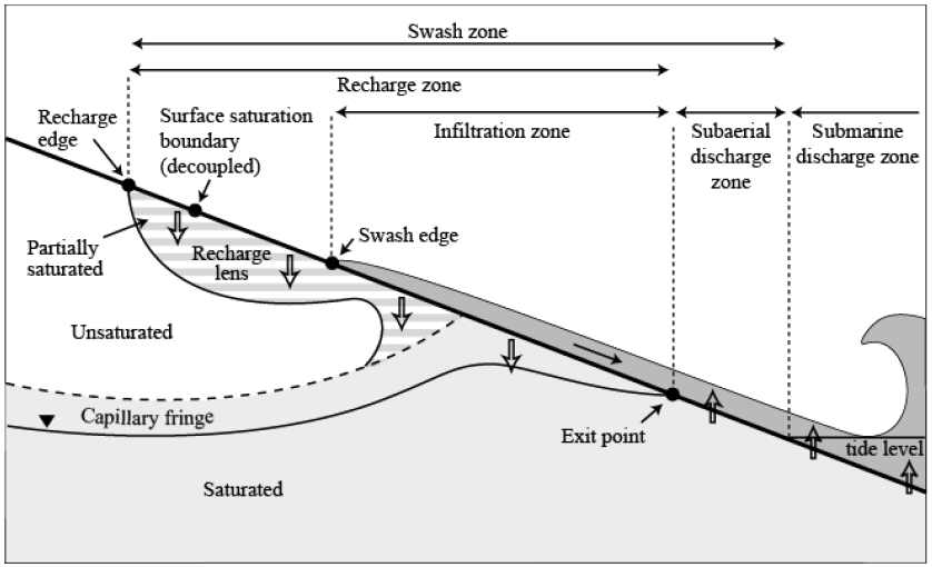 정밀관측에 근거한 포말대 표층수면과 지하수위 모식도(Heiss et al. 2015)