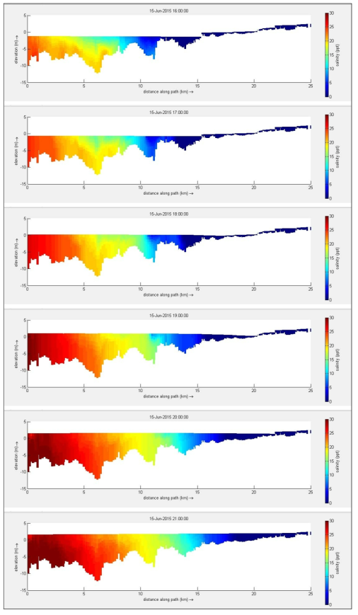 Longitudinal salinity distribution (2015.6.15.0900~2100)