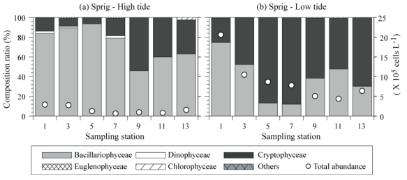 Spatial distribution of phytoplankton abundance and dominant phytoplankton in class level in spring, 2015