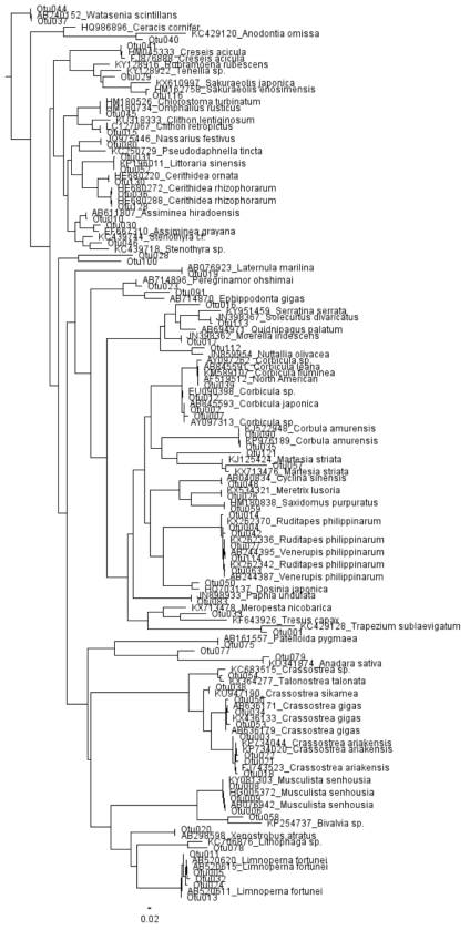ML tree constructed with sequences of otus and of BLAST result for species identification of mollusks eDNA. ML tree was built by FastTree