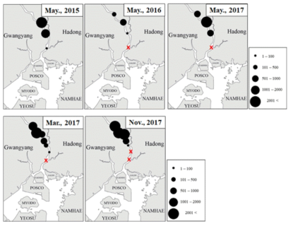 The spatio-temporal distribution patterns of C. japonica from st. 9 to st. 15 at May from 2015 to 2017 and March and November, 2017 in the Seomjin River estuary
