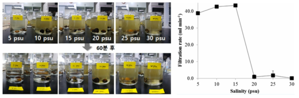 Filtration rate of Corbicula japonica according to each concentrations of salinity
