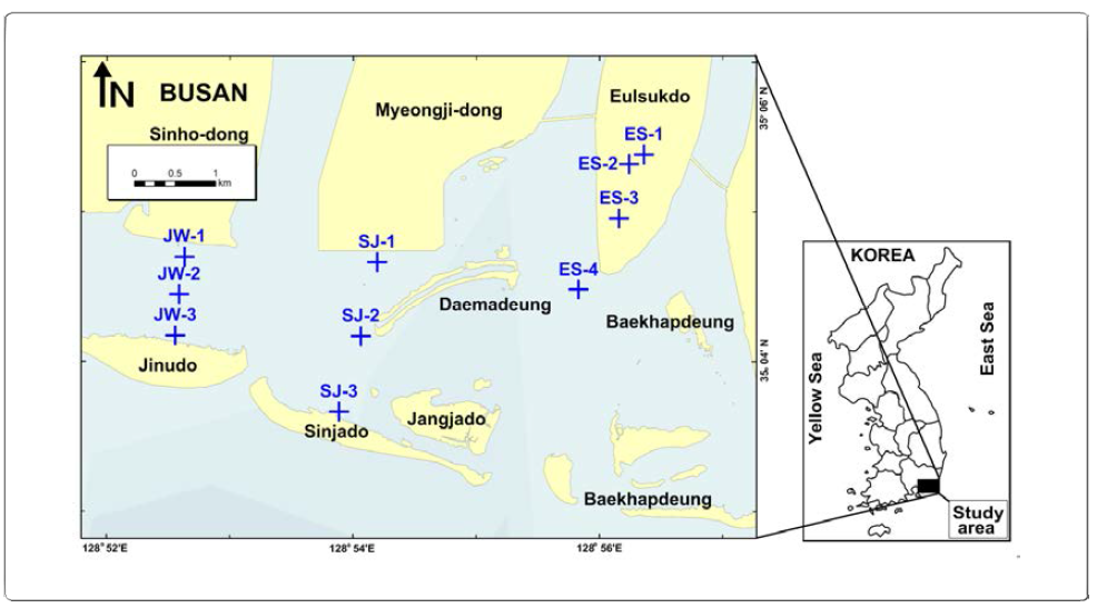 Sampling locations of the sediment samples collected from barrier islands in the Nakdong River Estuary (NRE), Busan, Korea in May 2015