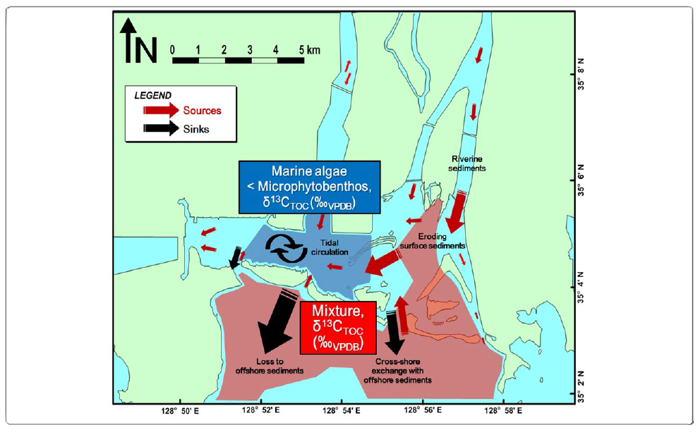 Diagram using distribution of stable carbon isotope (δ13CTOC)in the barrier-lagoon system and sedimentary processes, modified from Woo et al. (2017) within the Nakdong River Estuary