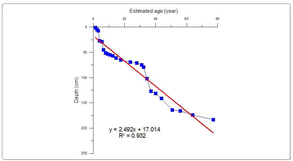 Sedimentation rate on average in core Eulsukdo