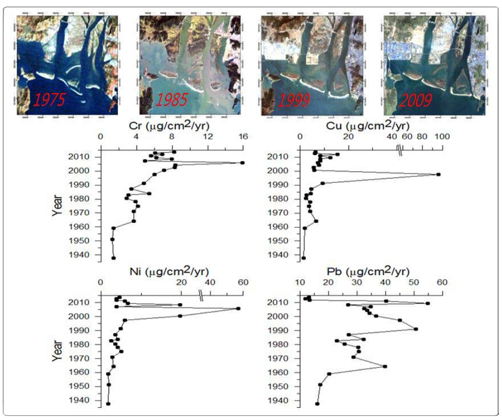 Excess metal fluxes in sediment core collected at Eulsukdo tidal flat