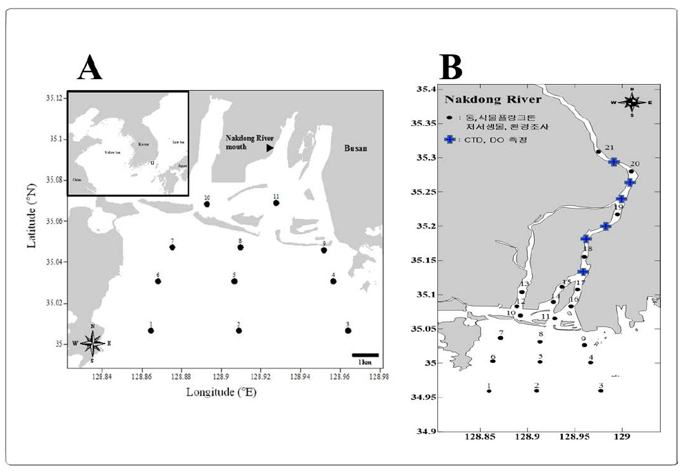 Map showing the study sites in the Nakdong estuary of Busan, Korea. A represents study sites during 2015, and B represents study sites during 2016-2017