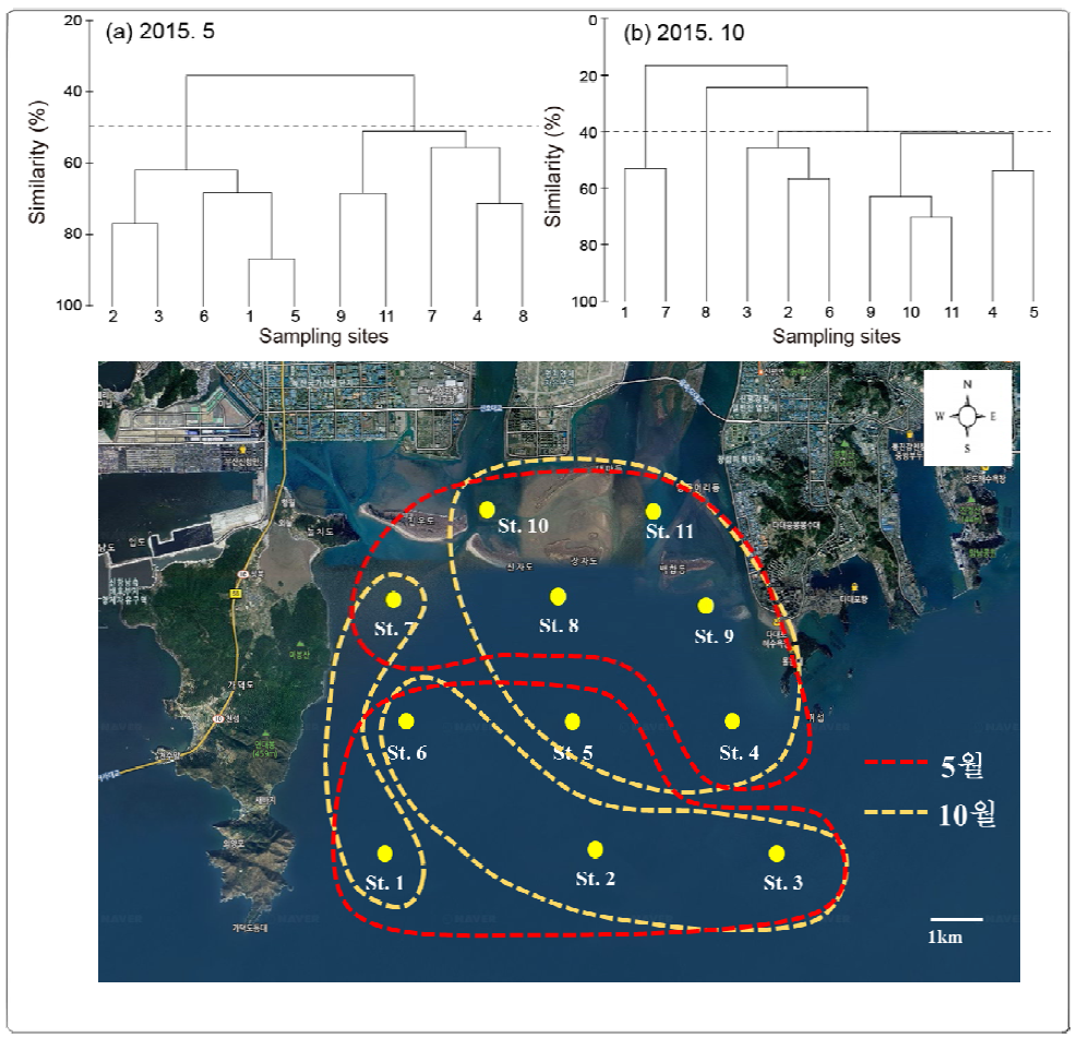 Similarity analysis of phytoplankton community and Grouping based on similarity in 2015