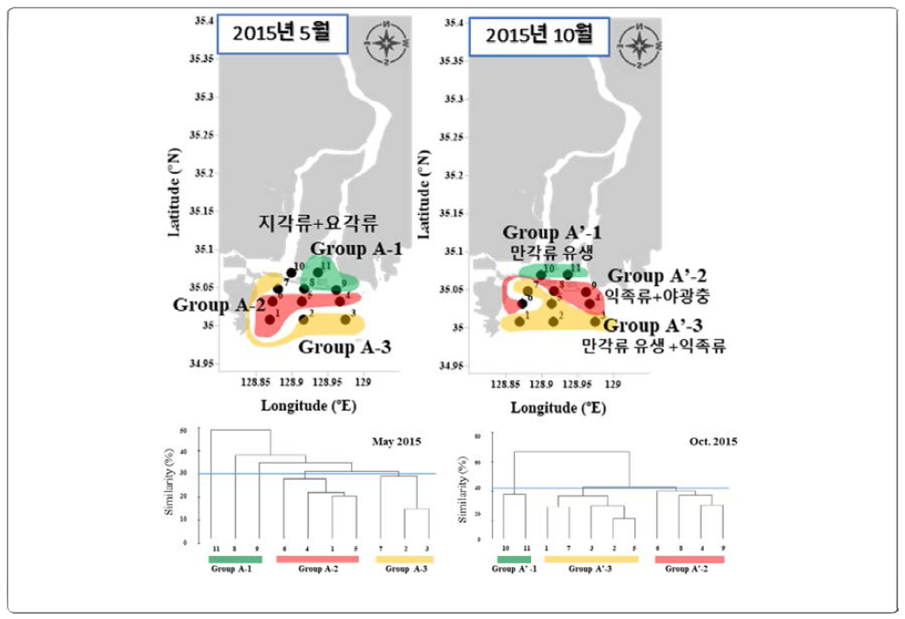 Dendrogram of clustered groups by the Bray-Curtis dissimilarity based on zooplankton abundance in the Nakdong River estuary. Group A(St.8-9, 11), B(St.1, 4-6), C(St.2-3, 7) are clustered groups in May 2015, group A′(St.10-11), B′(1-3, 5, 7), C′(4, 6, 8-9) are clustered groups in October 2015