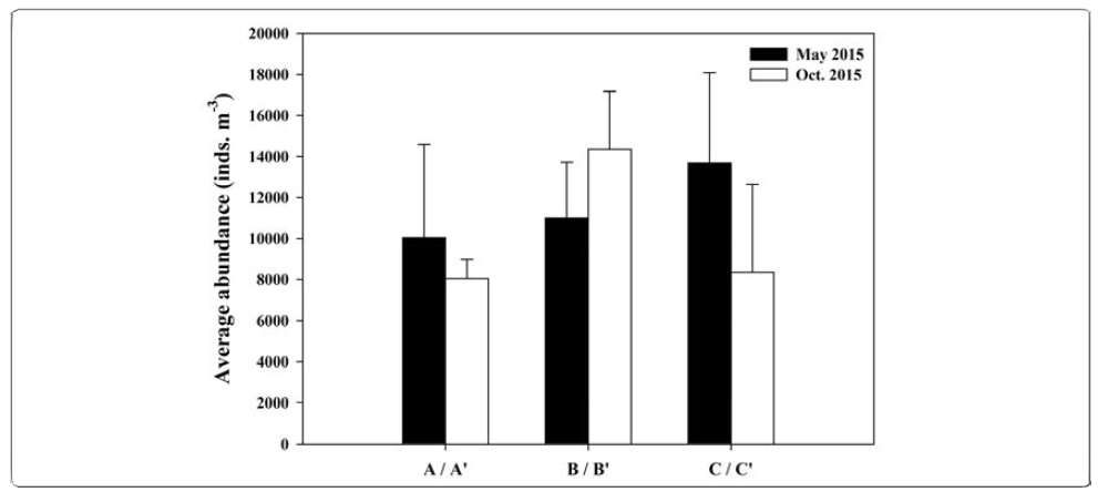 Spatio-temporal variations in the average abundance of zooplankton community according to clustered groups in Nakdong River estuary. Group A(St.8-9, 11), B(St.1, 4-6), C(St.2-3, 7) are clustered groups in May 2015, group A′(St.10-11), B′(1-3, 5, 7), C′(4, 6, 8-9) are clustered groups in October 2015