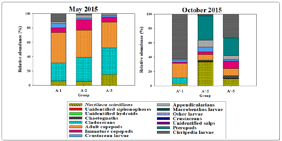 Relative abundance (%) of taxonomic groups in zooplankton community according to clustered groups in Nakdong River estuary on (A) May 2015 group A(St.8-9, 11), B(St.1, 4-6), C(St.2-3, 7), (B) October 2015(group A′(St.10-11), B′(1-3, 5, 7), C′(4, 6, 8-9)