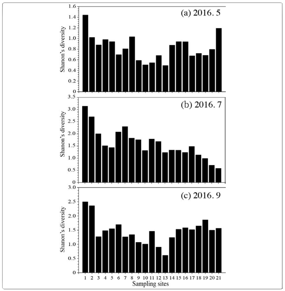 Shanon‘s diversity according to the phytoplankton composition of the Nakdong River in 2016