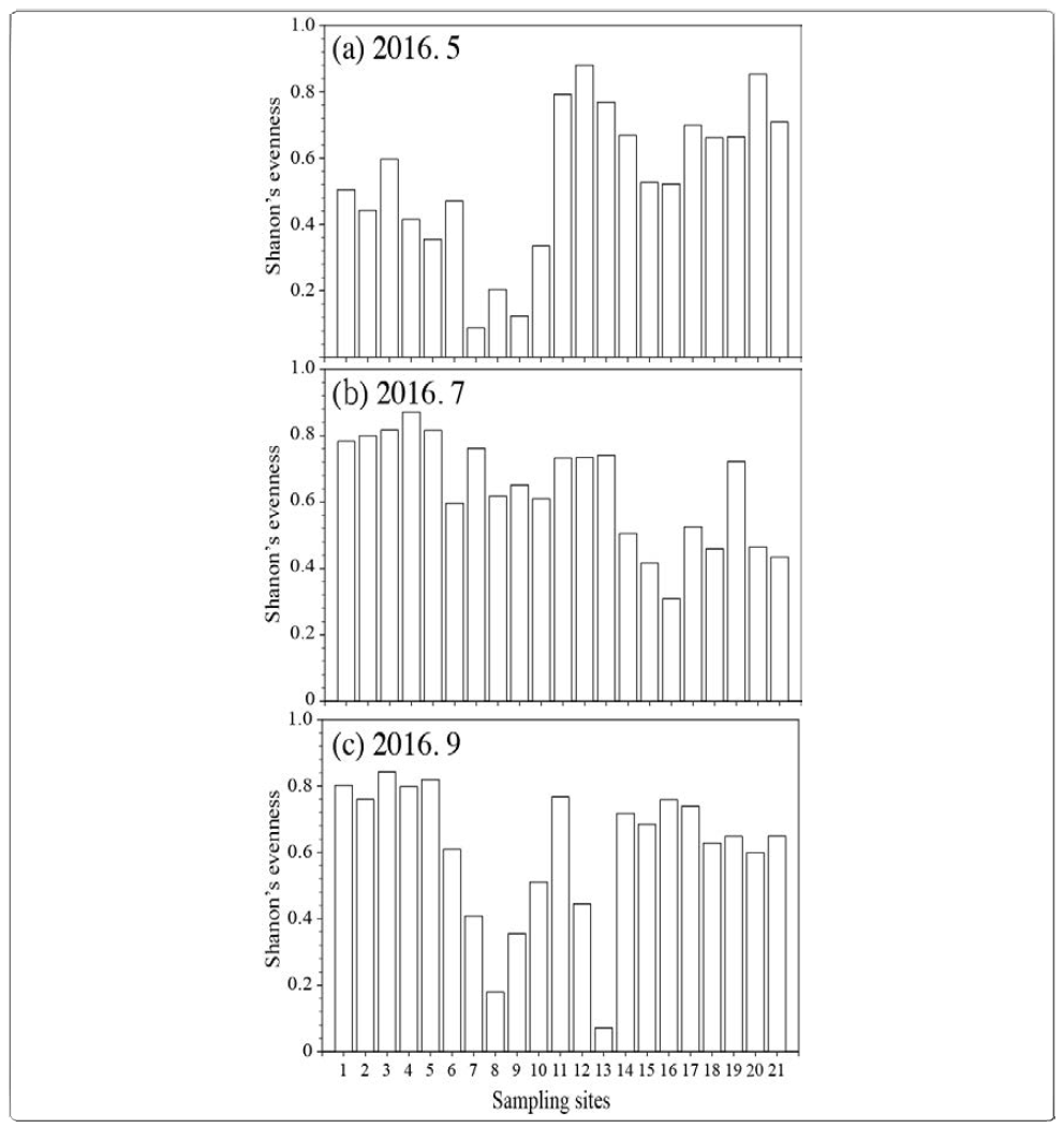 Shanon‘s evenness according to the phytoplankton composition of the Nakdong River in 2016