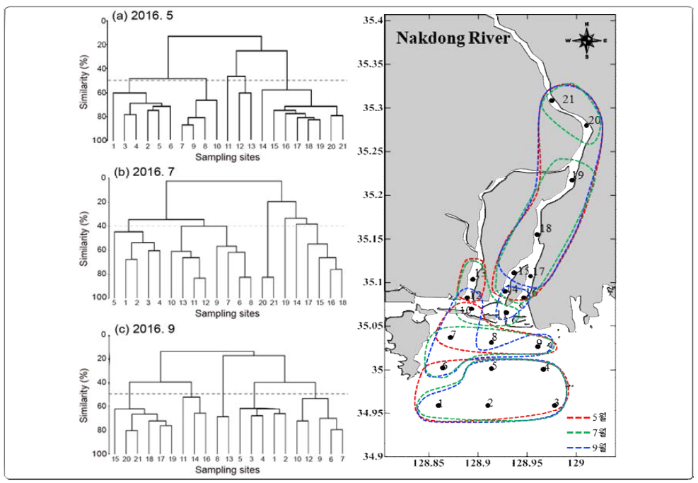 Similarity analysis of phytoplankton community and Grouping based on similarity in 2016