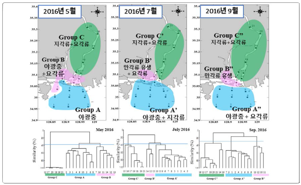 Dendrogram of clustered groups by the Bray-Curtis dissimilarity based on zooplankton abundance in the Nakdong River estuary during 2016